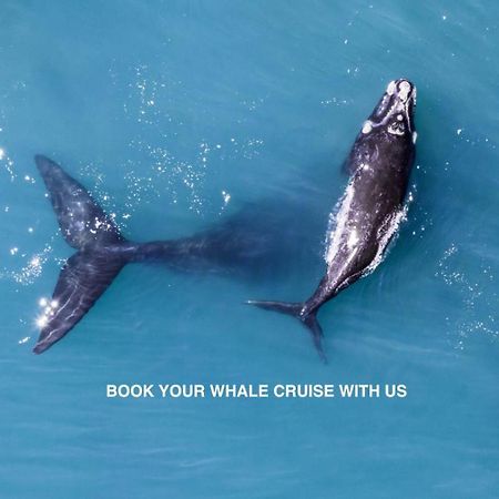 Anchor'S Rest Hotel Hermanus Bagian luar foto