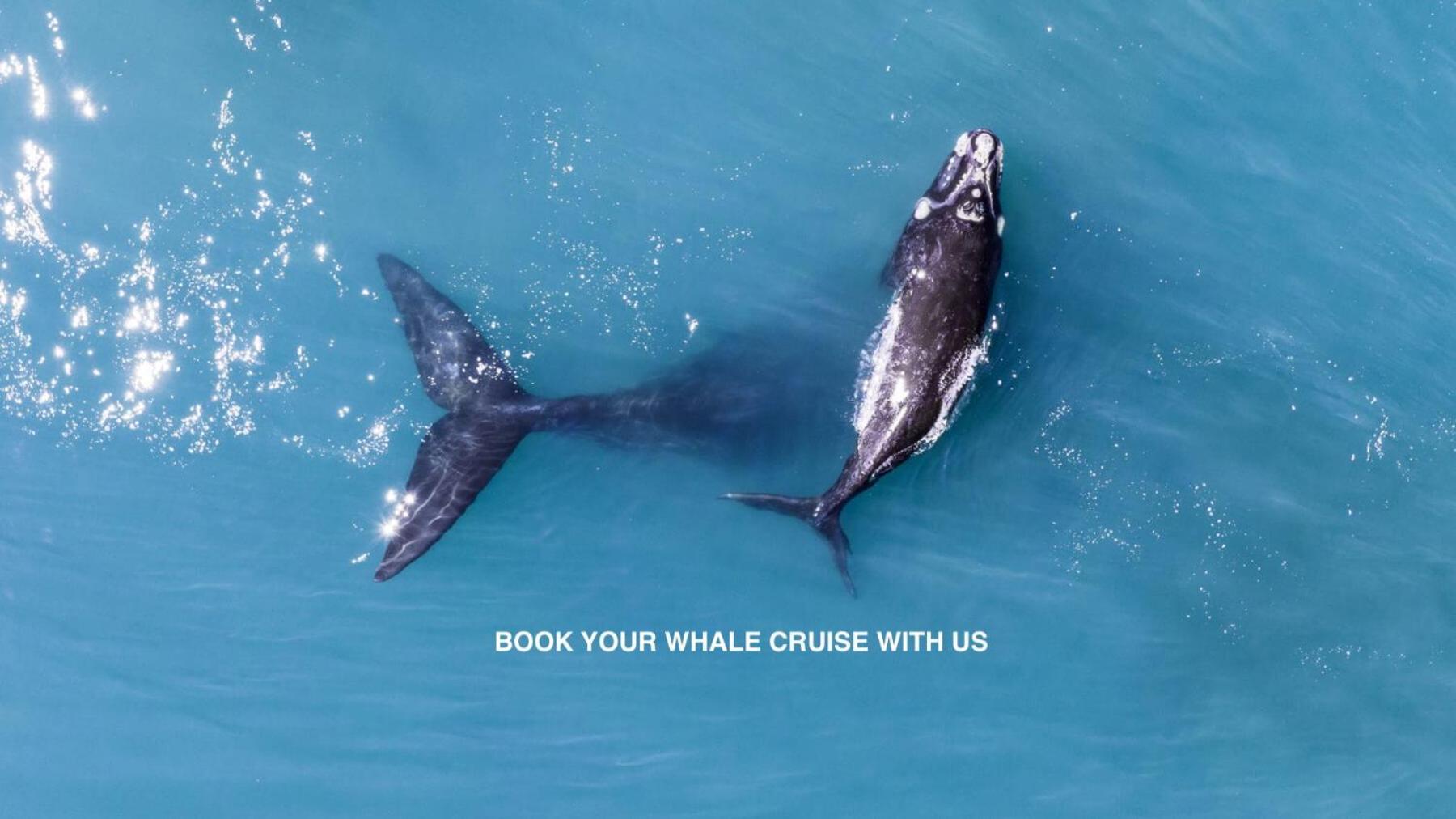 Anchor'S Rest Hotel Hermanus Bagian luar foto