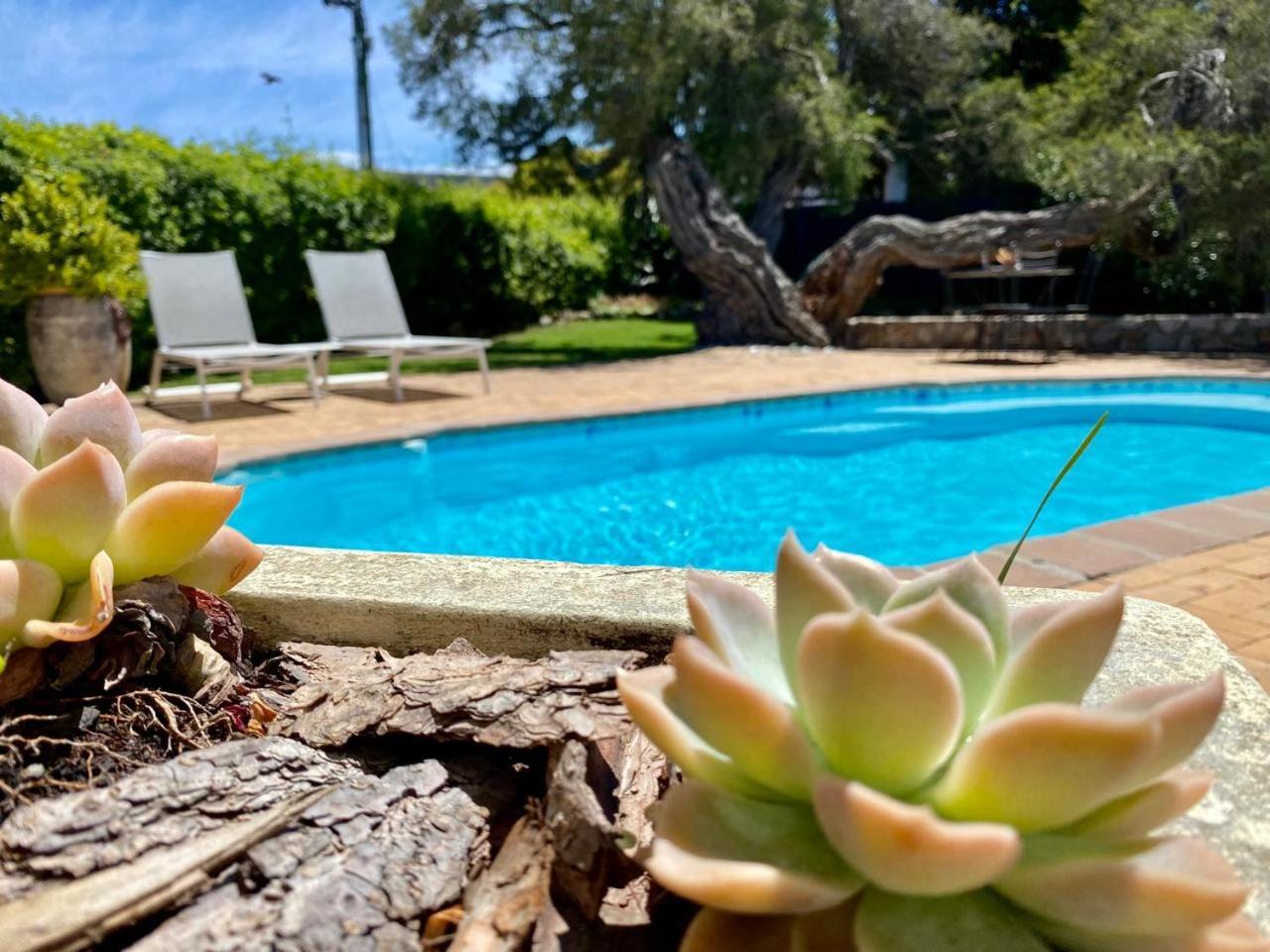 Anchor'S Rest Hotel Hermanus Bagian luar foto